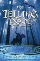 The Telling Pool 1