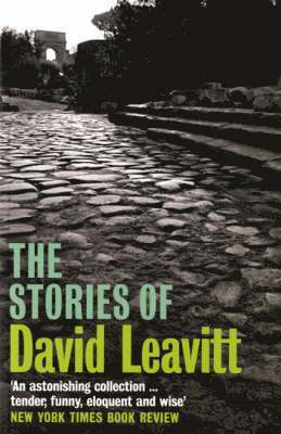 bokomslag Stories of David Leavitt