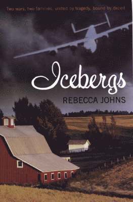 bokomslag Icebergs