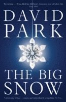 Big Snow