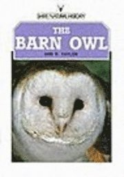 bokomslag The Barn Owl