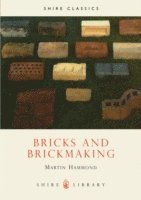 bokomslag Bricks and Brickmaking