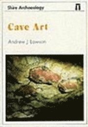 bokomslag Cave Art