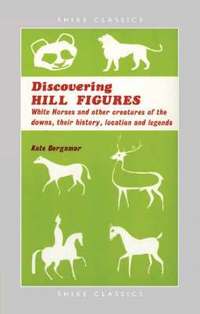 bokomslag Discovering Hill Figures