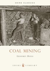 bokomslag Coal Mining