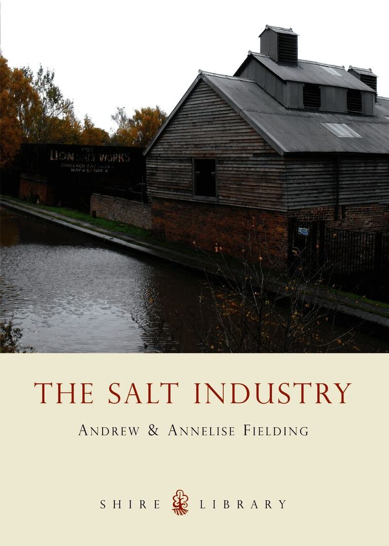 Salt Industry