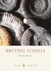 bokomslag British Fossils