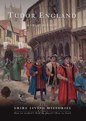 Derek Wilson - Tudor England, Häftad