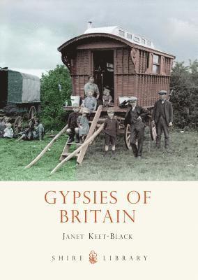 bokomslag Gypsies of Britain