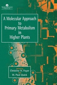 bokomslag A Molecular Approach To Primary Metabolism In Higher Plants