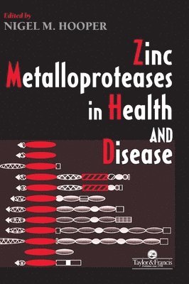 bokomslag Zinc Metalloproteases In Health And Disease