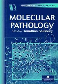 bokomslag Molecular Pathology