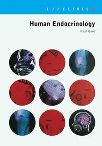 bokomslag Human Endocrinology