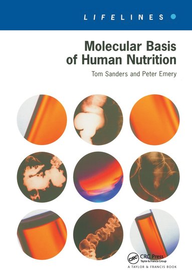 bokomslag Molecular Basis Of Human Nutrition