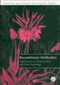 bokomslag Recombinant Antibodies