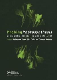 bokomslag Probing Photosynthesis