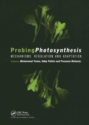 bokomslag Probing Photosynthesis