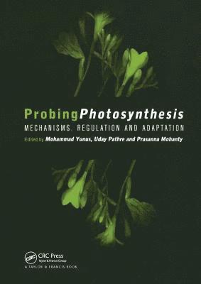 Probing Photosynthesis