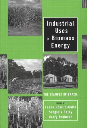 bokomslag Industrial Uses of Biomass Energy