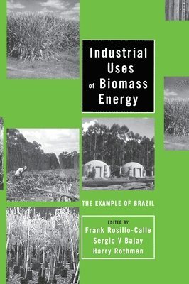 Frank Rosillo-Calle, Sergio V. Bajay, Harry Rothman - Industrial Uses of Biomass Energy, Inbunden