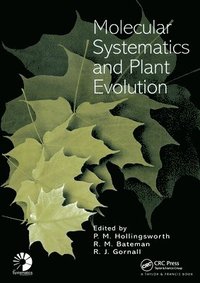 bokomslag Molecular Systematics and Plant Evolution