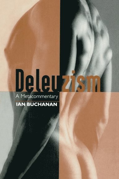 Deleuzism: A Metacommentary
