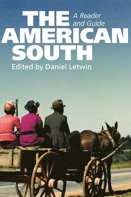 bokomslag The American South