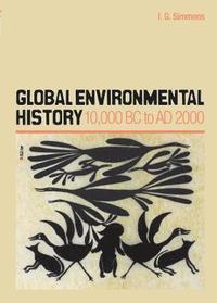 bokomslag Global Environmental History