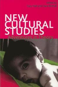bokomslag New Cultural Studies
