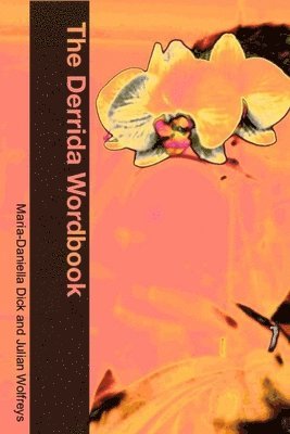 bokomslag The Derrida Wordbook