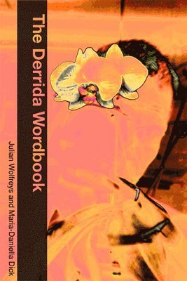 The Derrida Wordbook 1