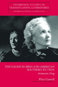 bokomslag Dandy in Irish and American Southern Fiction