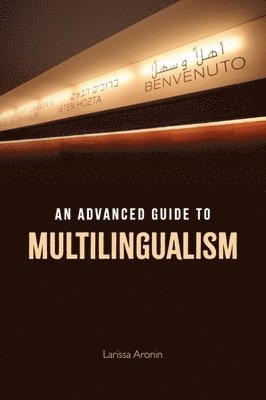 bokomslag An Advanced Guide to Multilingualism