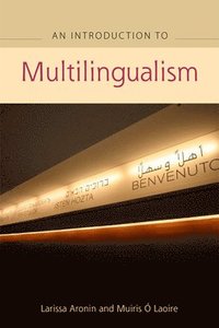 bokomslag An Advanced Guide to Multilingualism