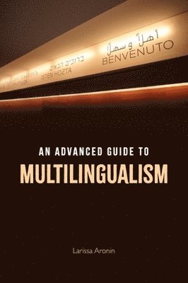 Advanced Guide to Multilingualism 1