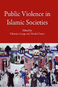 bokomslag Public Violence in Islamic Societies
