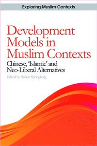bokomslag Development Models in Muslim Contexts