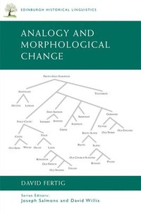 bokomslag Analogy and Morphological Change