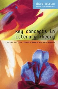 bokomslag Key Concepts in Literary Theory