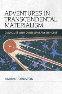 bokomslag Adventures in Transcendental Materialism