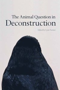 bokomslag The Animal Question in Deconstruction
