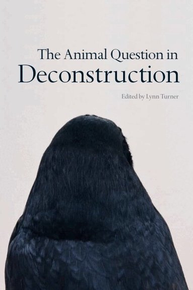 Lynn Turner - Animal Question in Deconstruction, Häftad