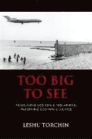 Too Big to See 1