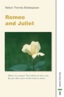 Dinah Jurksaitis, Duncan Beal - Nelson Thornes Shakespeare - Romeo and Juliet, Häftad