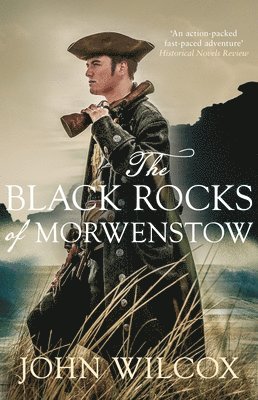 The Black Rocks of Morwenstow 1