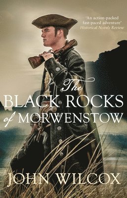 The Black Rocks of Morwenstow 1