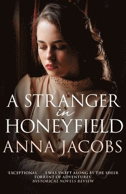 bokomslag Stranger in Honeyfield