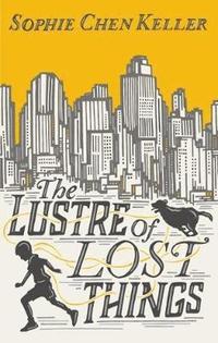 bokomslag The Lustre of Lost Things