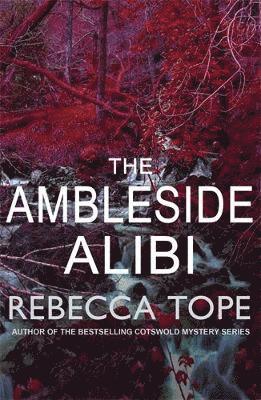 bokomslag Ambleside Alibi
