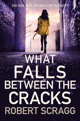 What Falls Between the Cracks 1